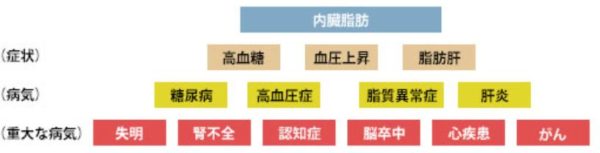 メタボリックドミノ