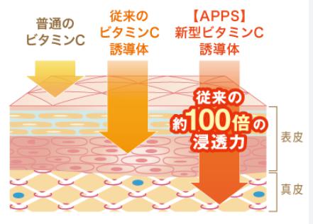 出典;flair-shop.jp