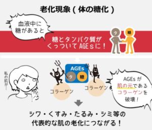 出典：糖質制限ダイエットバイブル