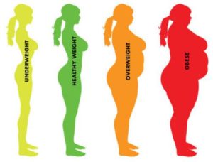 肥満度チェック